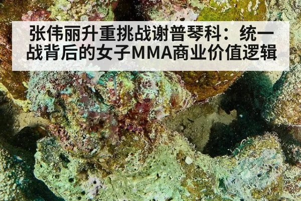 张伟丽升重挑战谢普琴科：统一战背后的女子MMA商业价值逻辑（kaiyun com）